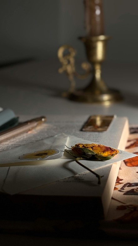 Close-up of a dried flower and handwritten letter on a book beside a candleholder, symbolizing reflection, grief, and end-of-life conversations in a quiet, intimate setting.